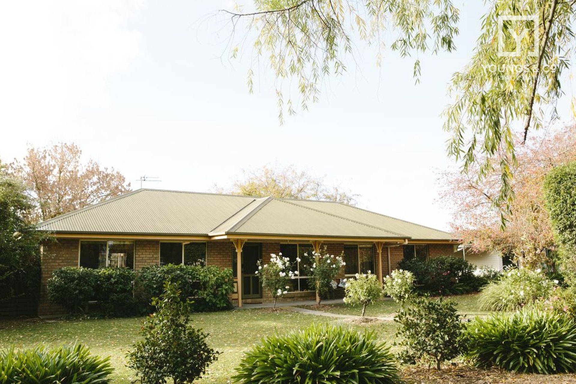 250 Zeerust Rd, Zeerust - Thumbnail 2
