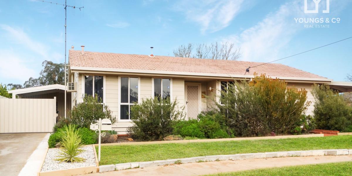 Youngs & Co Real Estate Home