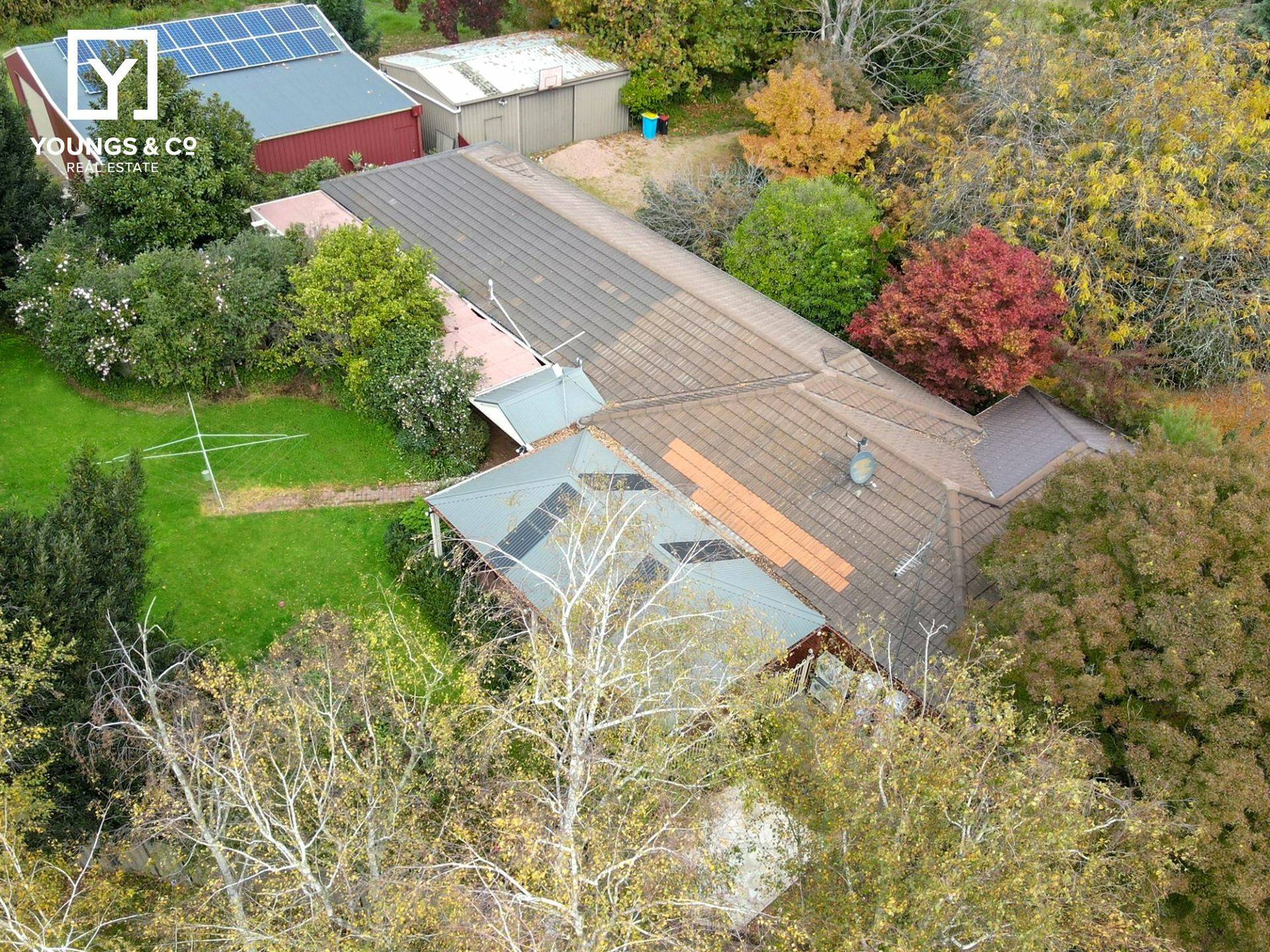 523 Central Ave, Shepparton East - Thumbnail 3