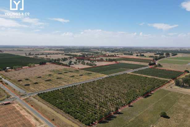 Quality Orchard Country - 52.83 hectares (approximately 130 acres)