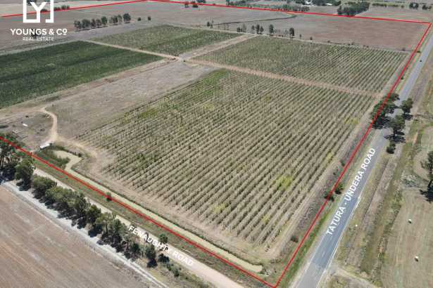 73 Hectares (180 Acres) - Recently Planted Orchard