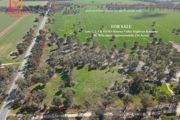 86.78 hectares - 214 Acres (approx.) - Cropping - Kotupna
