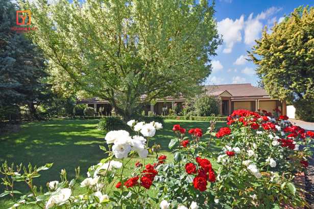 One of Shepparton's most desired locations! Attractive Residence - 3 Bedrooms + Study - 4008m2 Land