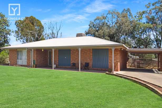 Comfortable Family Living with a Reserve for a backyard