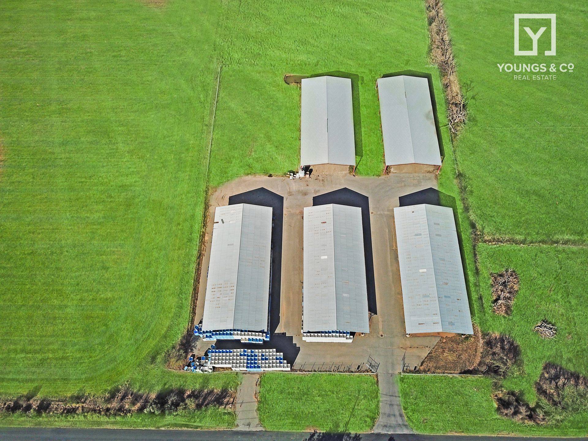 635 Turnbull Rd, Ardmona - Thumbnail 7