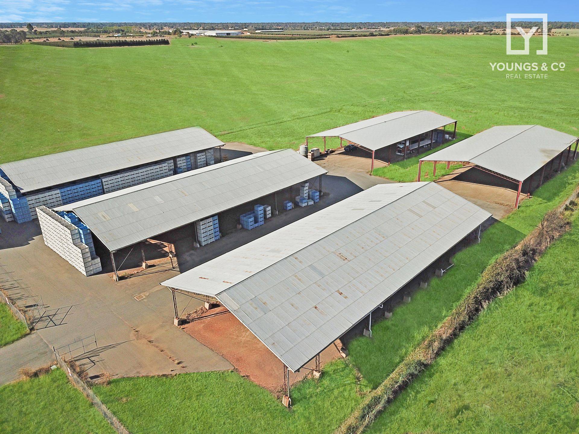 635 Turnbull Rd, Ardmona - Thumbnail 3
