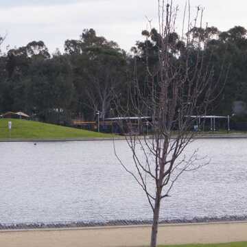 Eddy testimonial image