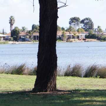 Daphne Wipaki testimonial image