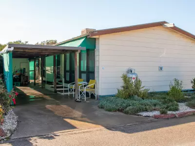 Michael  H testimonial image