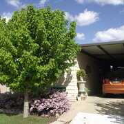 12 Elsie Jones Drive, Mooroopna