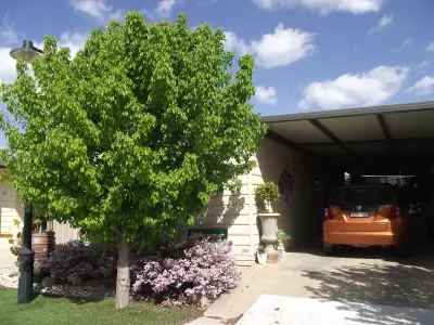 M Bathman testimonial image