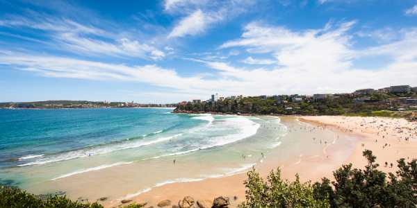 E Torres testimonial image