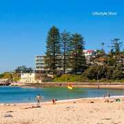 Professional and courteous