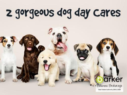 look-profitable-dog-day-care-2-locations-barker-childcare