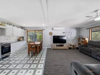 Dani Joannidis testimonial image