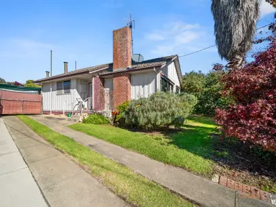 Paula Geier testimonial image