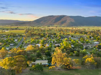 Monte Van Geest testimonial image