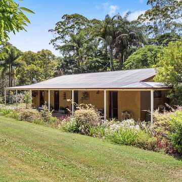 Peter Andrews testimonial image