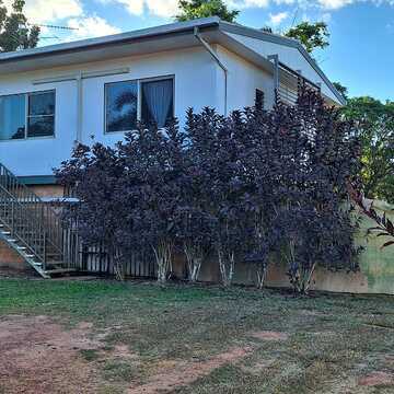 Kathy & Daimon Mitton testimonial image