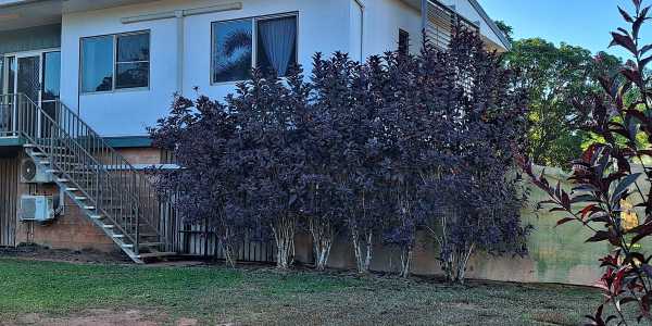 Kim Dunstan testimonial image