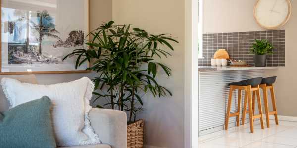 Archer Cox testimonial image