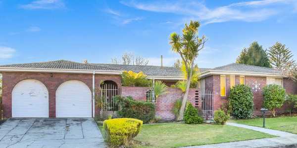 Shane Woodiwiss testimonial image