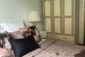 Stylishly furnished 1 bedroom, super convenient location