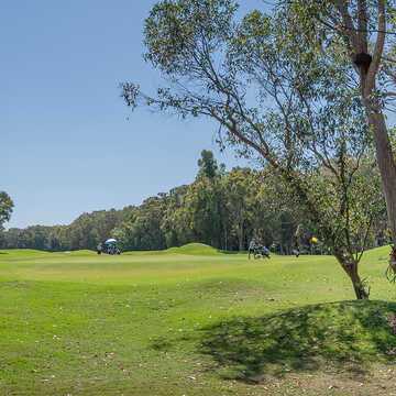 Llew and Keiran Twin Waters testimonial image