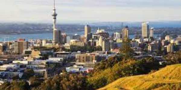 Pardis Kardavani testimonial image