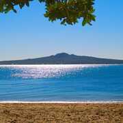 Experienced, honest, Professional and Hard Working!