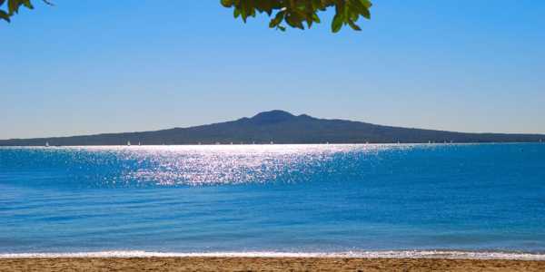 Vendor testimonial image