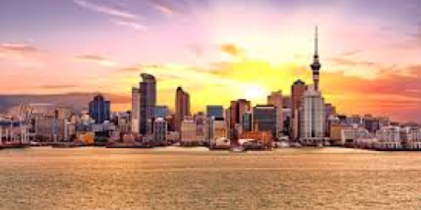 Yang Liu testimonial image