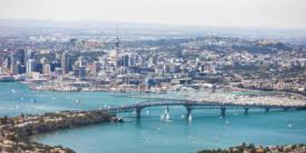 Lisa Wu testimonial image