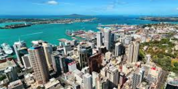 Shaun testimonial image