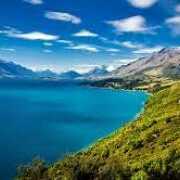 You are very professional