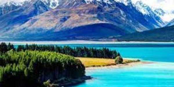 Julie testimonial image