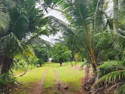 Jack & Lauren - Sellers testimonial image