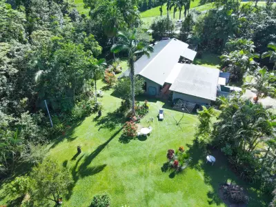 Blue & Marie-  Buyers in Djarawong testimonial image