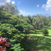 Meticulously Looks After Our Interests