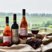 Purchaser of All Premium Wines Melbourne