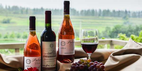 Damian Simons testimonial image