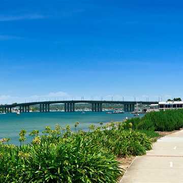 Dean Criticos testimonial image