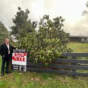 Their guidance was very helpful