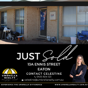 Celestine was very professional