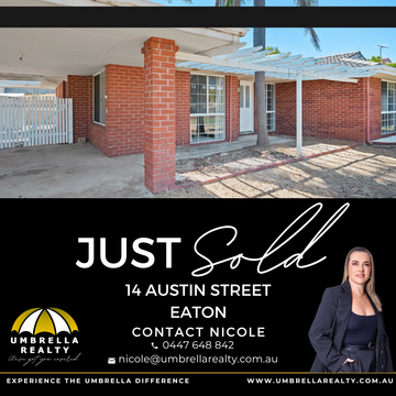 Peter Neilson testimonial image