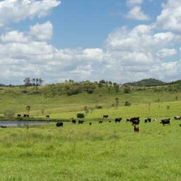 Munish & Anji testimonial image