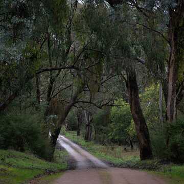 Natalie testimonial image