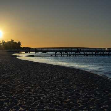 Ameir testimonial image