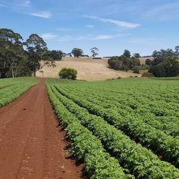 Peter testimonial image