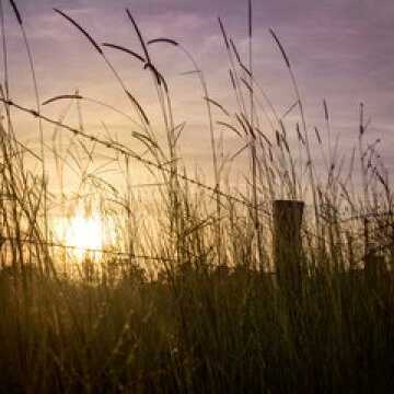 Jen testimonial image